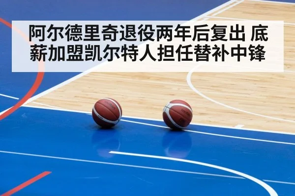 阿尔德里奇退役两年后复出 底薪加盟凯尔特人担任替补中锋